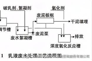 阿达尼：小因扎吉是保守的主教练，不会犯错但缺乏创造力